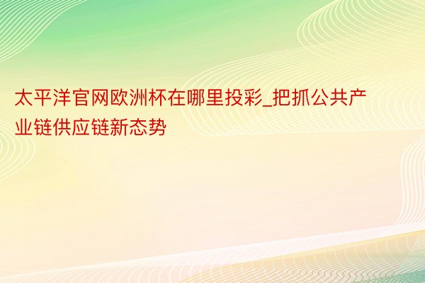 太平洋官网欧洲杯在哪里投彩_把抓公共产业链供应链新态势