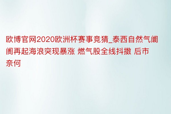 欧博官网2020欧洲杯赛事竞猜_泰西自然气阛阓再起海浪突现暴涨 燃气股全线抖擞 后市奈何