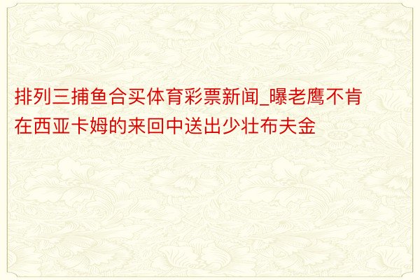 排列三捕鱼合买体育彩票新闻_曝老鹰不肯在西亚卡姆的来回中送出少壮布夫金