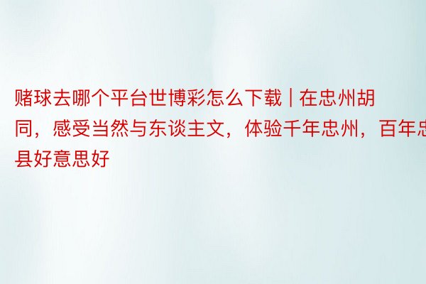 赌球去哪个平台世博彩怎么下载 | 在忠州胡同，感受当然与东谈主文，体验千年忠州，百年忠县好意思好