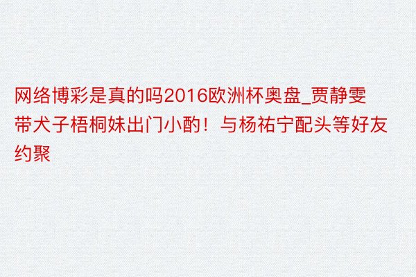 网络博彩是真的吗2016欧洲杯奥盘_贾静雯带犬子梧桐妹出门小酌！与杨祐宁配头等好友约聚