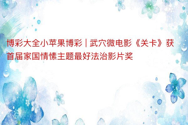 博彩大全小苹果博彩 | 武穴微电影《关卡》获首届家国情愫主题最好法治影片奖